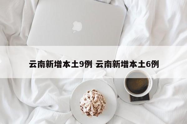 云南新增本土9例 云南新增本土6例